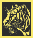 Logo_Tiger International Trading GmbH_site logo